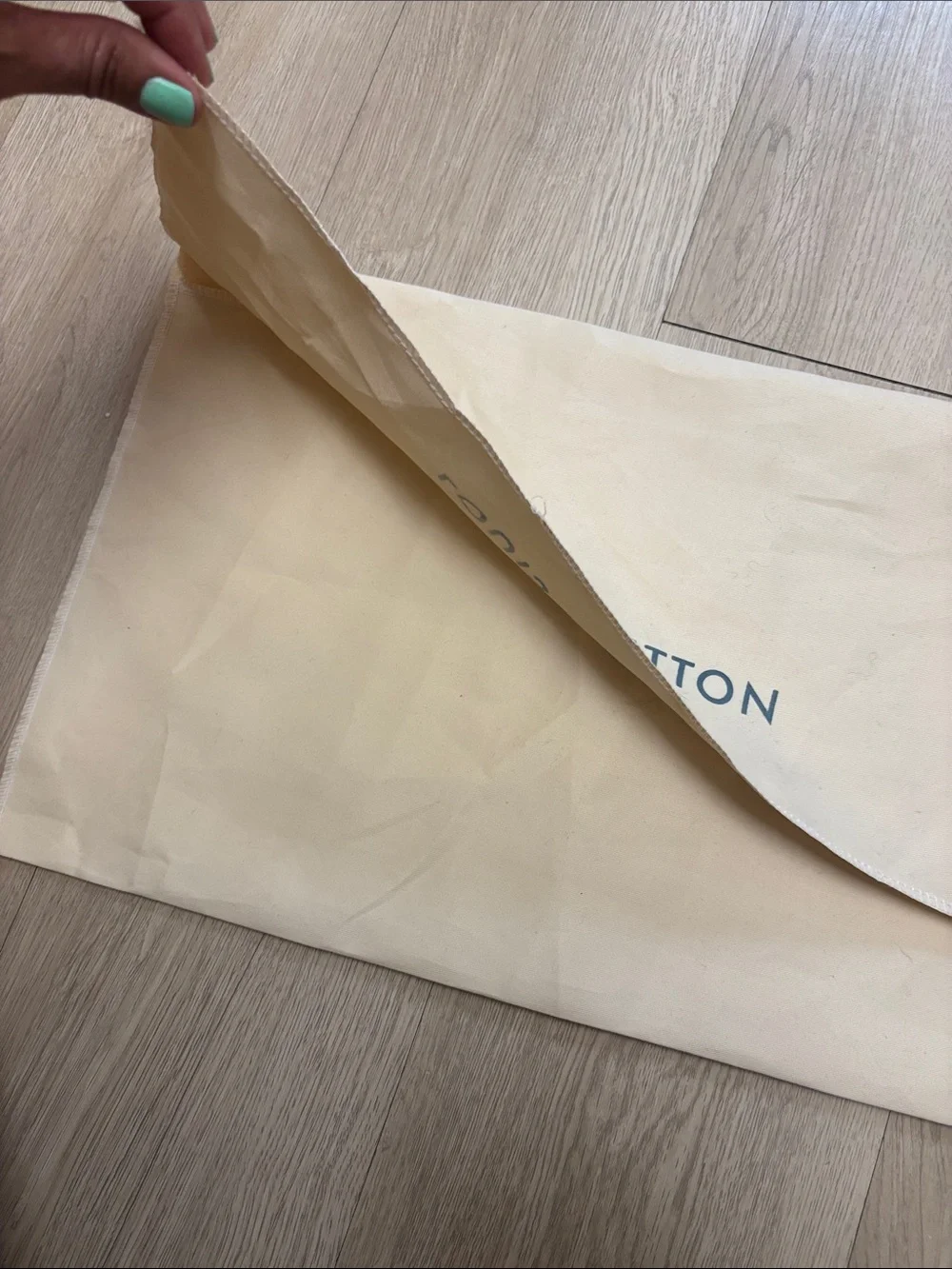 Louis Vuitton Dust bag Subcategory Identification